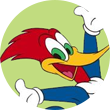 WOODY WOODPECKER