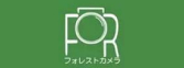 shinfukasawa01